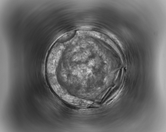 X0000096441194200802141445