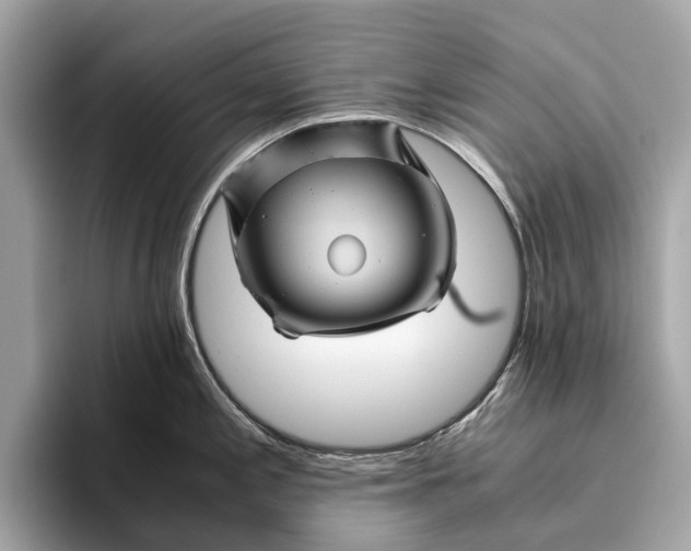 X0000096441197200802141445