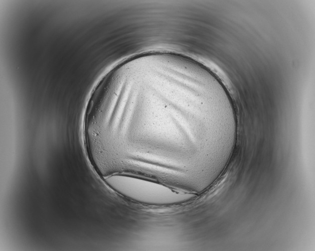 X0000096441199200802141445