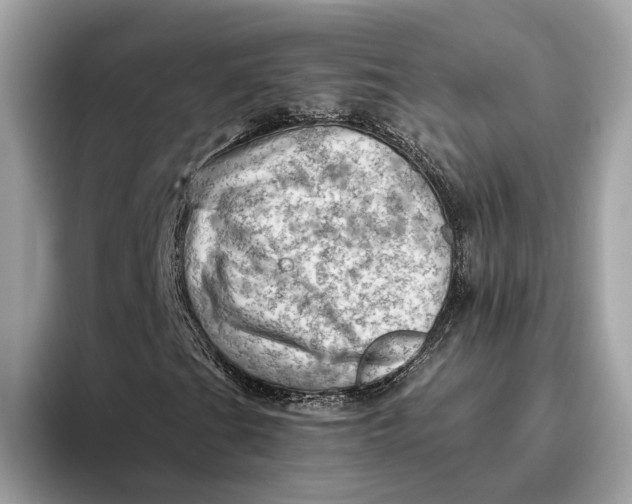 X0000096441201200802141445