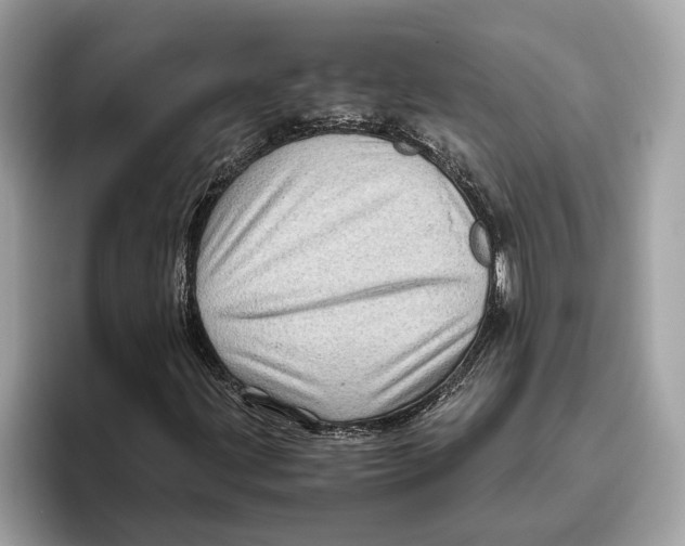 X0000096441203200802141445