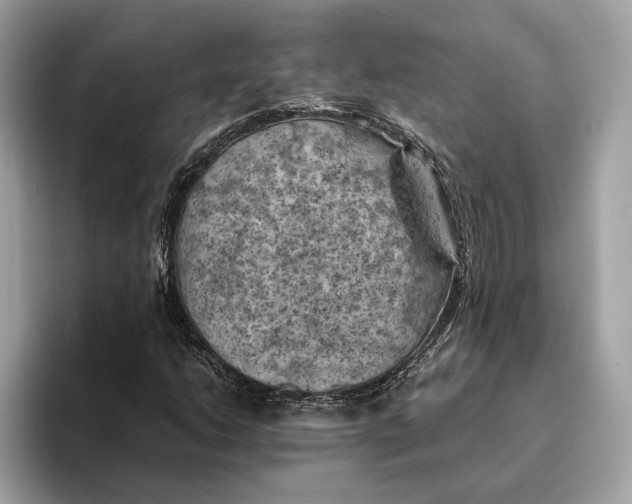 X0000096441206200802141445