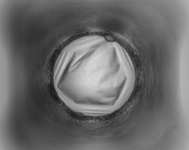 X0000096441207200802141445