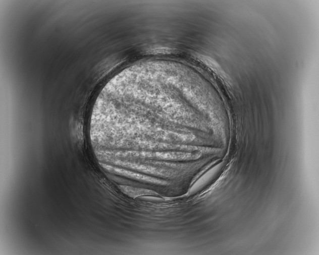 X0000096441209200802141445