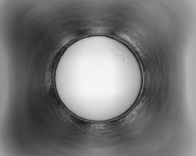 X0000096441211200802141445