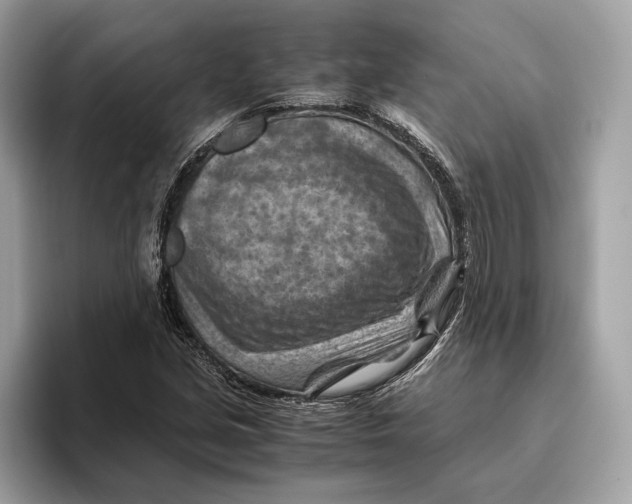 X0000096441213200802141445