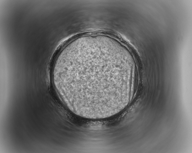 X0000096441214200802141445