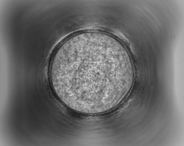 X0000096441216200802141445