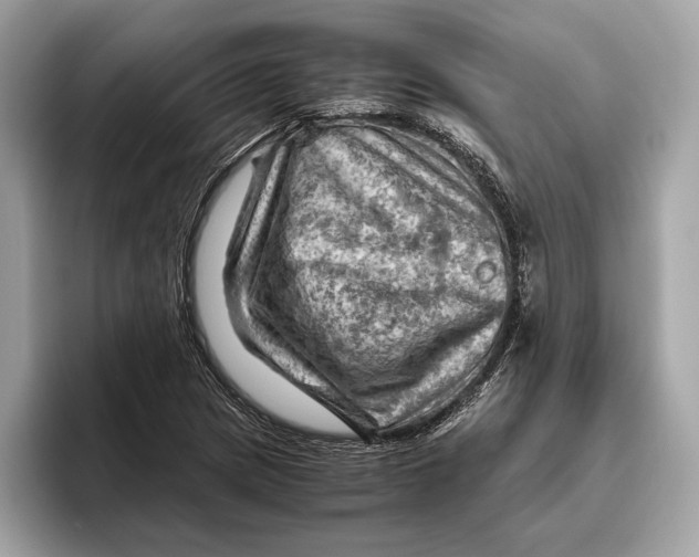 X0000096441217200802141445