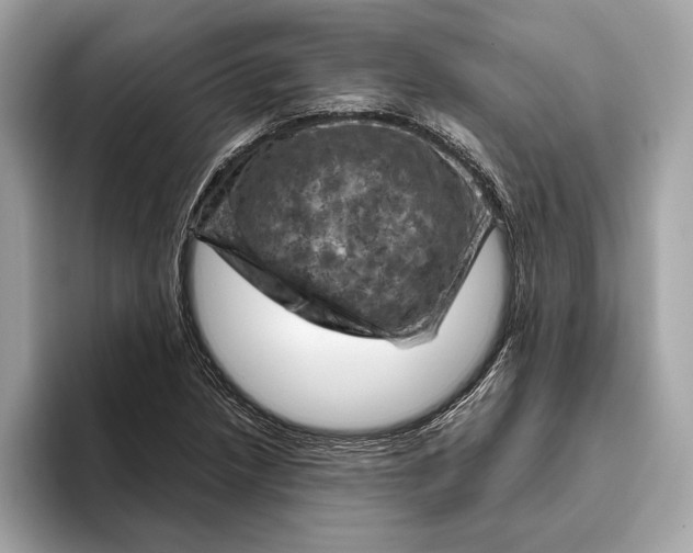 X0000096441218200802141445