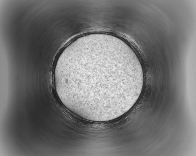 X0000096441220200802141445