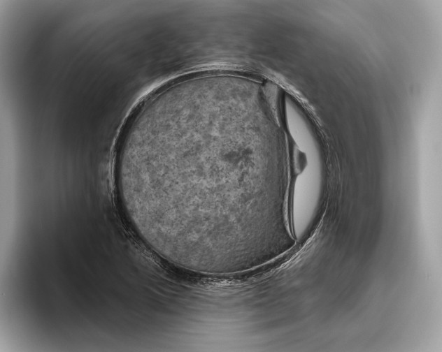 X0000096441222200802141445