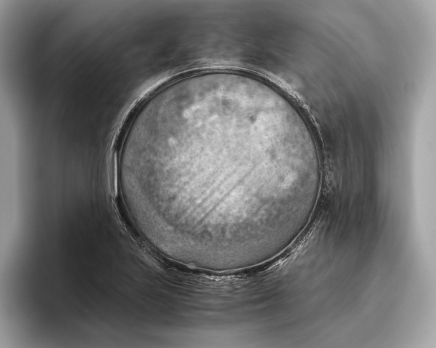 X0000096441223200802141445