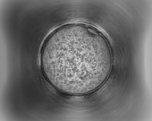 X0000096441224200802141445