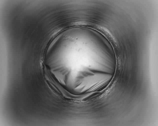 X0000096441225200802141445