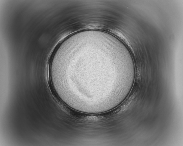 X0000096441227200802141445