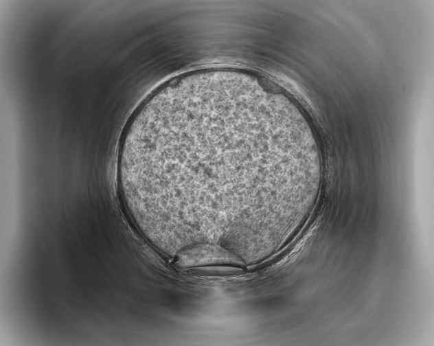 X0000096441228200802141445