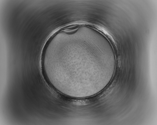 X0000096441229200802141445