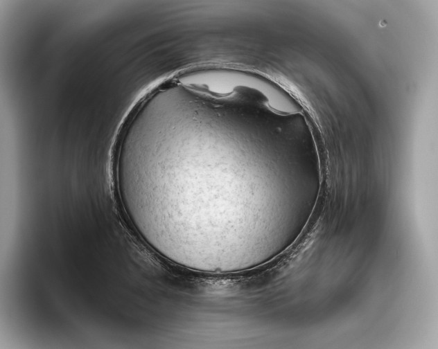 X0000096441230200802141445