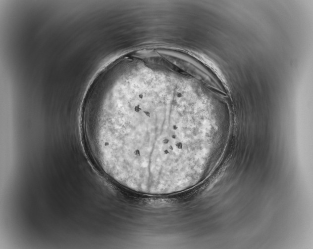 X0000096441231200802141445