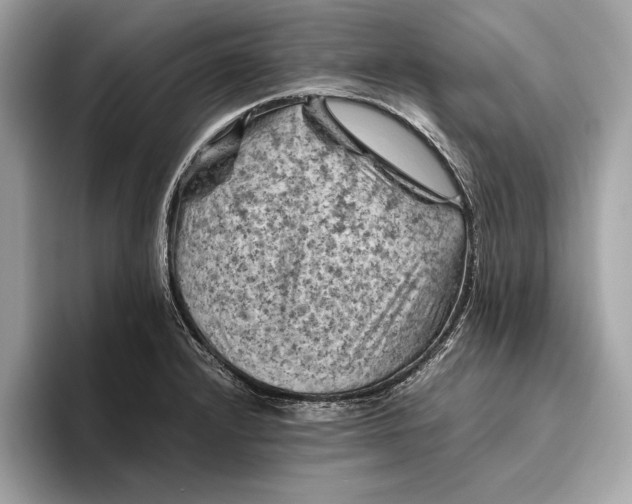 X0000096441232200802141445