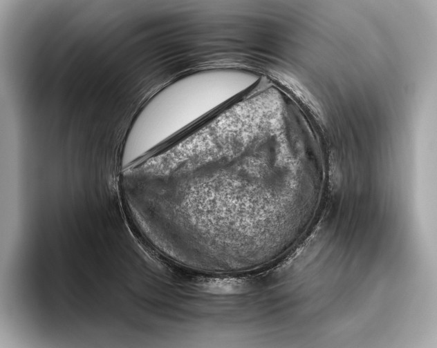 X0000096441233200802141445