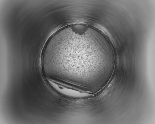 X0000096441234200802141445