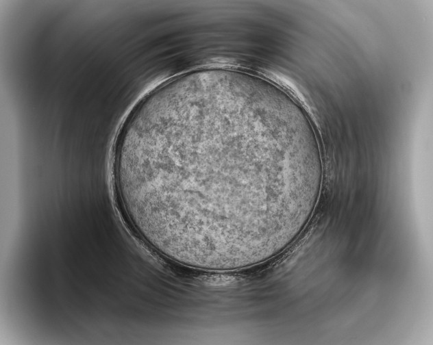 X0000096441235200802141445