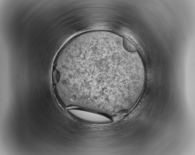 X0000096441236200802141445