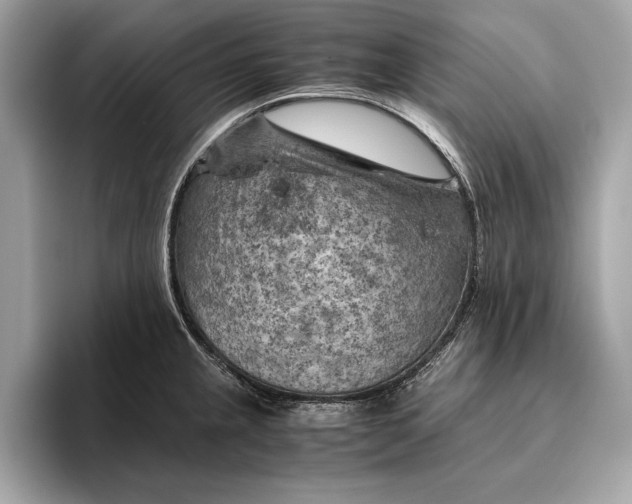 X0000096441237200802141445