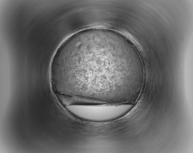 X0000096441240200802141445