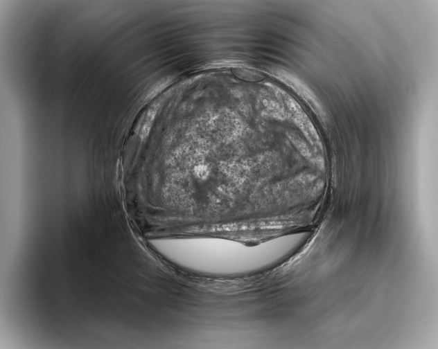 X0000096441241200802141445