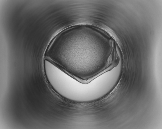 X0000096441242200802141445