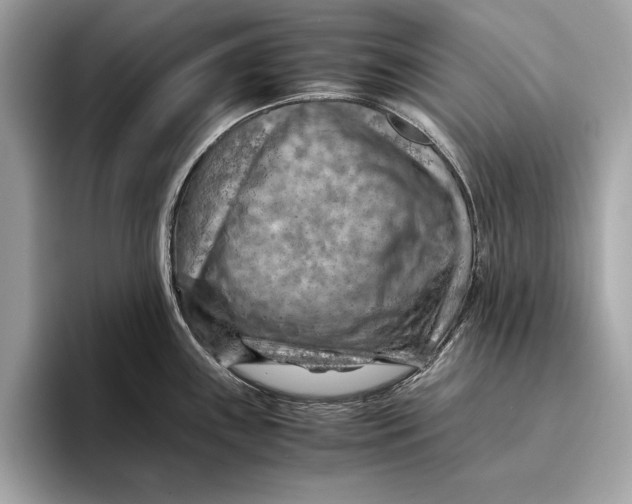 X0000096441243200802141445