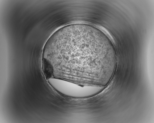 X0000096441244200802141445