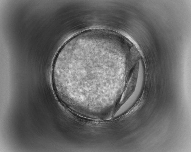 X0000096441245200802141445