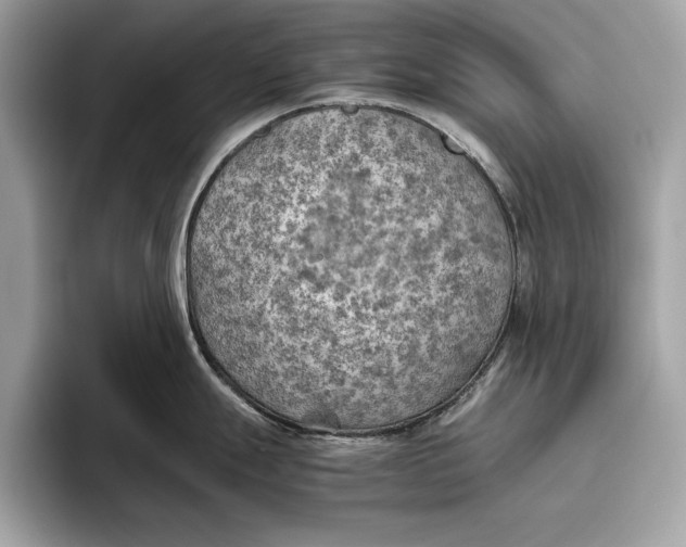 X0000096441247200802141445