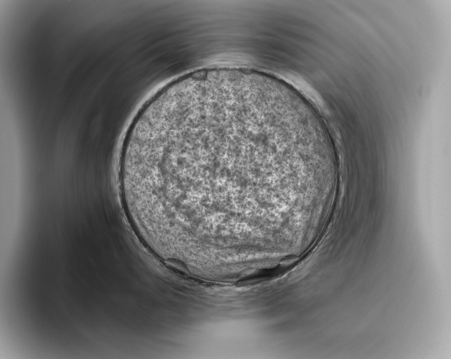 X0000096441248200802141445