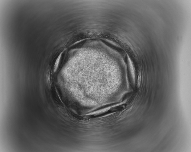 X0000096441250200802141445