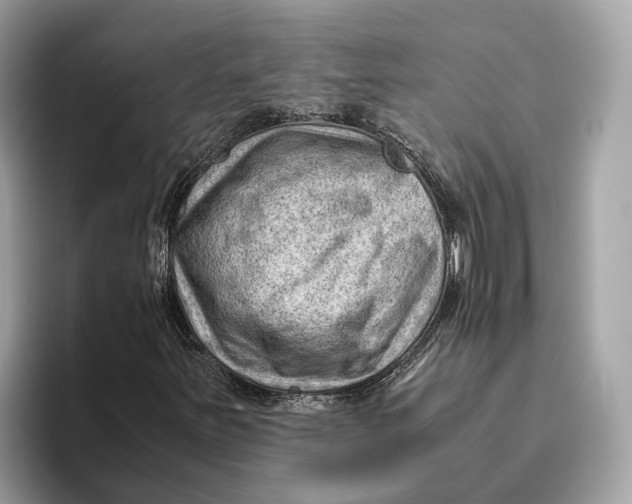 X0000096441251200802141445