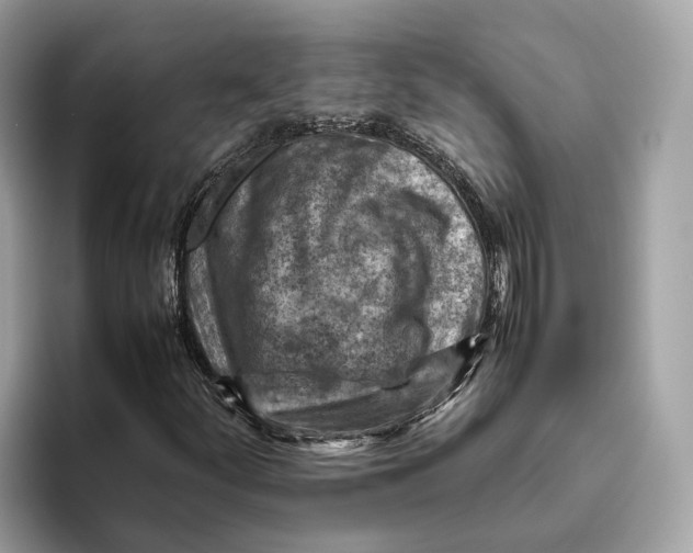 X0000096441252200802141445