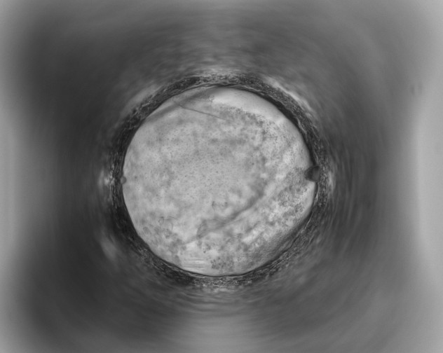 X0000096441254200802141445