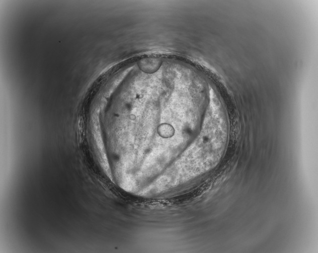 X0000096441255200802141445