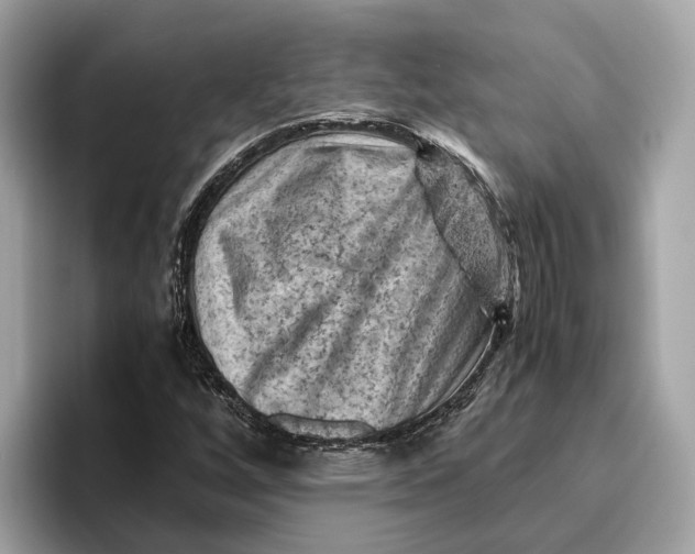 X0000096441256200802141445