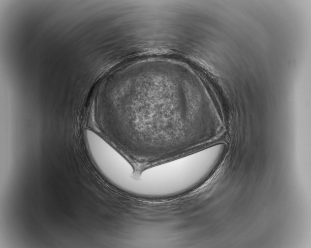 X0000096441257200802141445