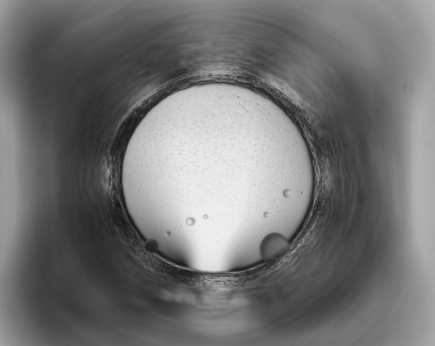 X0000096441258200802141445