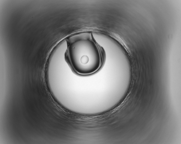 X0000096441260200802141445