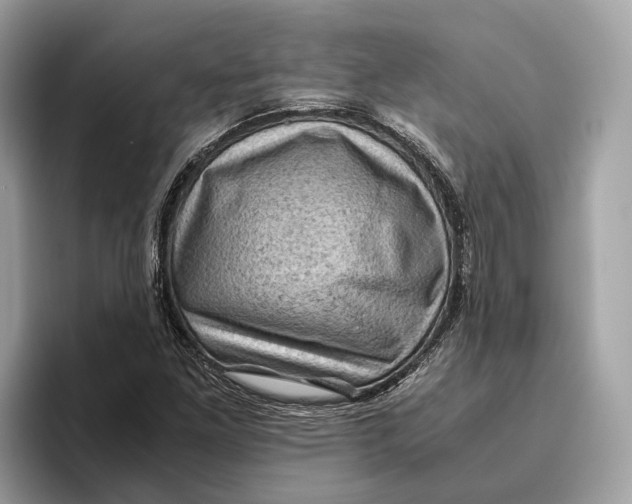 X0000096441261200802141445