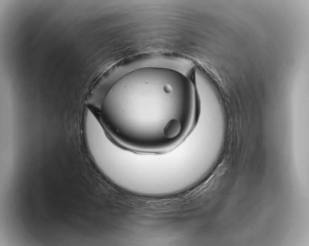 X0000096441265200802141445