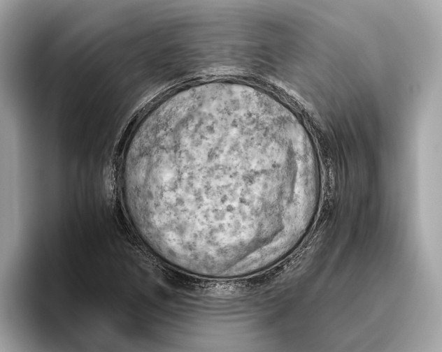 X0000096441266200802141445